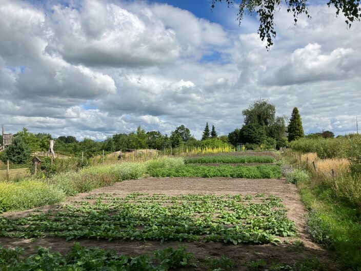 Foto gemaakt door Ben Jeursen - Groenlo - De verschillen in het weer in Nederland zijn het komende weekend steeds vrij groot. Het zuidwesten is vaak het beste af, op andere plekken hangen meer wolken.