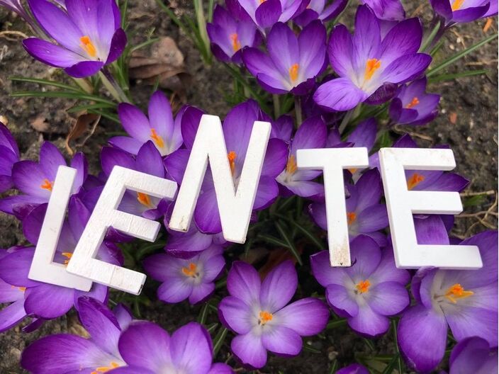Foto gemaakt door Erica van Leeuwen