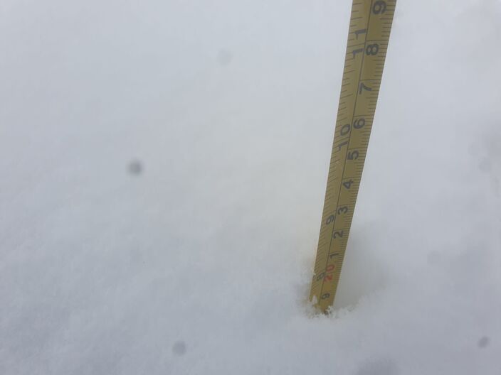 Foto gemaakt door Reinout van den Born - Posbank (Rheden) - Nadat gisteravond al 14 centimeter was gevallen, is het sneeuwdek verder aangegroeid tot 17 centimeter. Alleen in 1978 viel meer sneeuw, toen 20 cm.