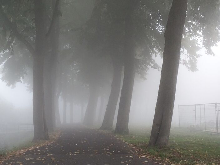 Foto gemaakt door Dilia van Zon - Schoonhoven