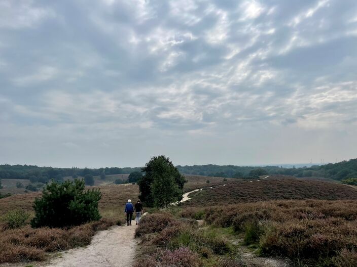 Foto gemaakt door Erica van Leeuwen-de Bruijn - Posbank Rheden - Is de herfst nu echt aan zet?