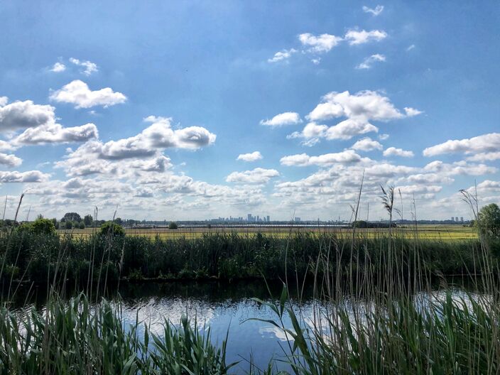 Foto gemaakt door Jolanda Bakker - Zevenhuizen - Op dinsdag kan het misschien zelfs wel een beetje zomers aanvoelen met temperaturen van (ruim) 20 graden en flink wat zon. 