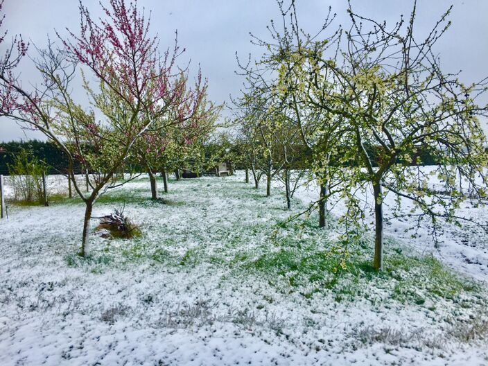 Foto gemaakt door Jessie van Neer - Beesel - Vorig jaar kregen we te maken met aprilse grillen! Winterse buien trokken toen tot diep in het voorjaar nog over ons land.