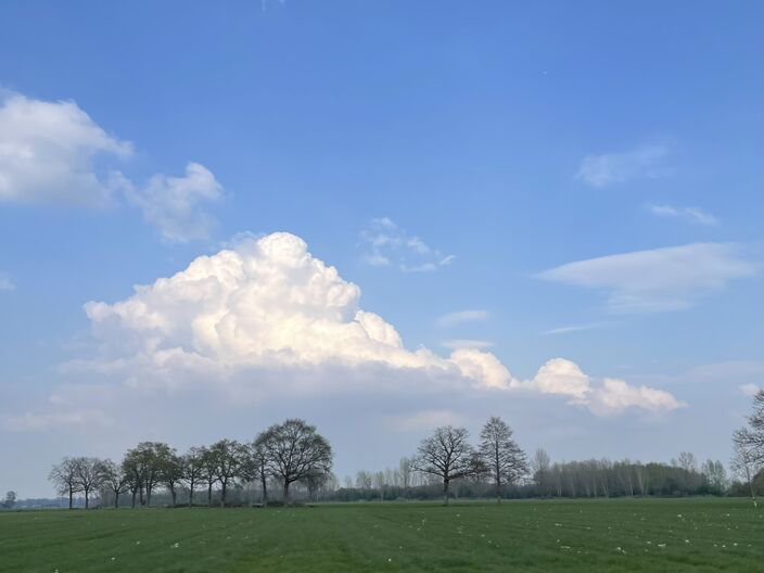 Foto gemaakt door Eva Sandelowsky - Teuge