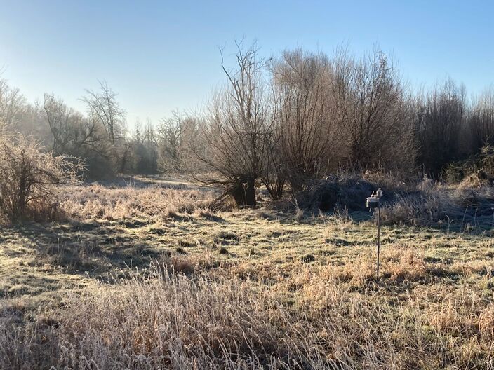 Foto gemaakt door Karel Holvoet - Borgloon (België) - In de duinpannen in Noordwest-Nederland heeft het de afgelopen nacht streng gevroren, zowel op de normale waarnemingshoogte van 1,5 meter als aan de grond. Op de foto de mobiele meting van Karel Holvoet in de buurt van het Belgische Borgloon.