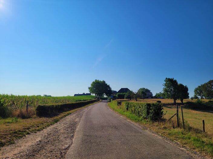 Foto gemaakt door Marjan den Boer - Klimmen - Na een afkoeling volgend weekend waarschijnlijk opnieuw zomers warm.