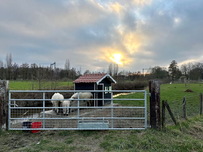 Foto gemaakt door Erica van Leeuwen - de Bruijn - Kloetinge - Het weer in Nederland wordt de komende dagen langzaam wat minder zacht. Eerst is het nog wisselvallig, later komt de zon er voluit door.