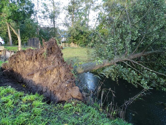 Foto gemaakt door Dilia van Zon - Een stormdepressie trekt vandaag over ons land en brengt veel wind en regen. Met de bomen vol in blad kan de impact regionaal erg groot zijn.