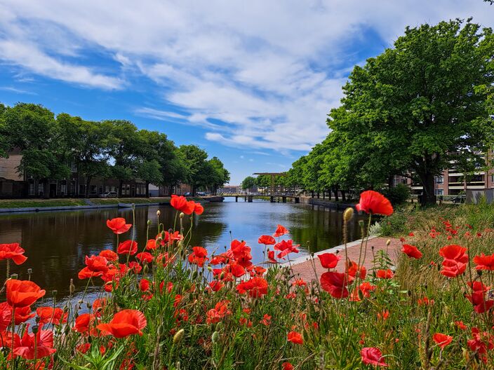 Foto gemaakt door Nel van Es - Den Helder - Niet alleen het versterkte broeikaseffect, maar ook de steeds vaker en langduriger schijnende zon, zorgt voor een snelle opwarming van Nederland en Europa.