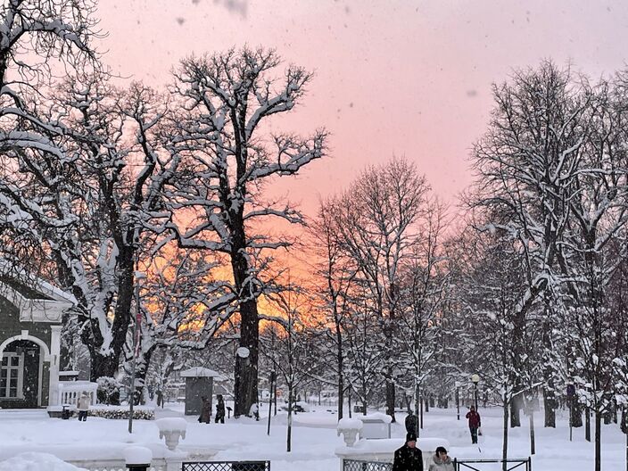 Foto gemaakt door Noel Toolan - Tallinn - IJskoud in Tallinn na een dik pak sneeuw.