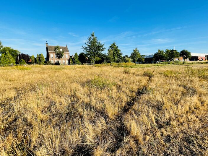 Foto gemaakt door Jessie van Neer - Beesel (Limburg) - De natuur heeft het op veel plekken al zwaar met de droogte en de aanstaande hittegolf zal de situatie alleen maar verslechteren.