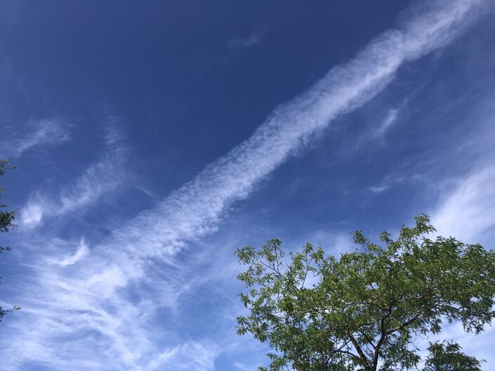 Foto gemaakt door auteur - Apeldoorn