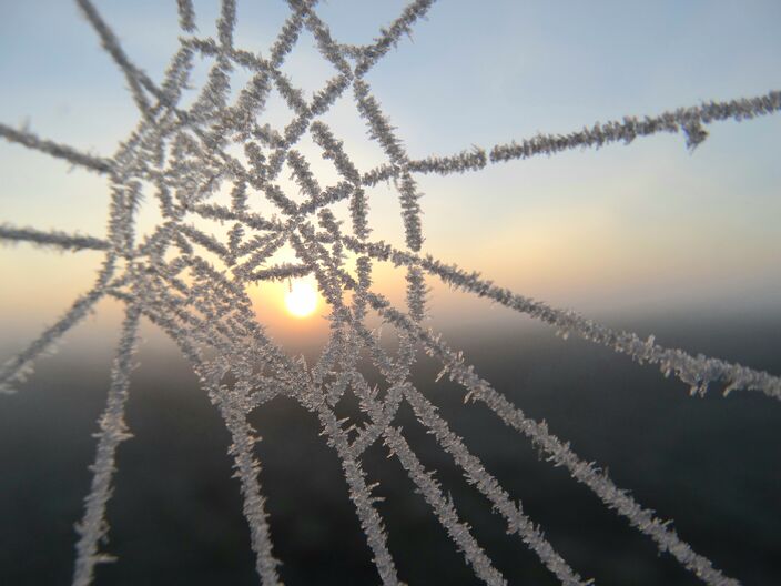 Foto gemaakt door Dalia van Zon - Het was vanochtend op meerdere plekken flink koud met zelfs matige vorst. 