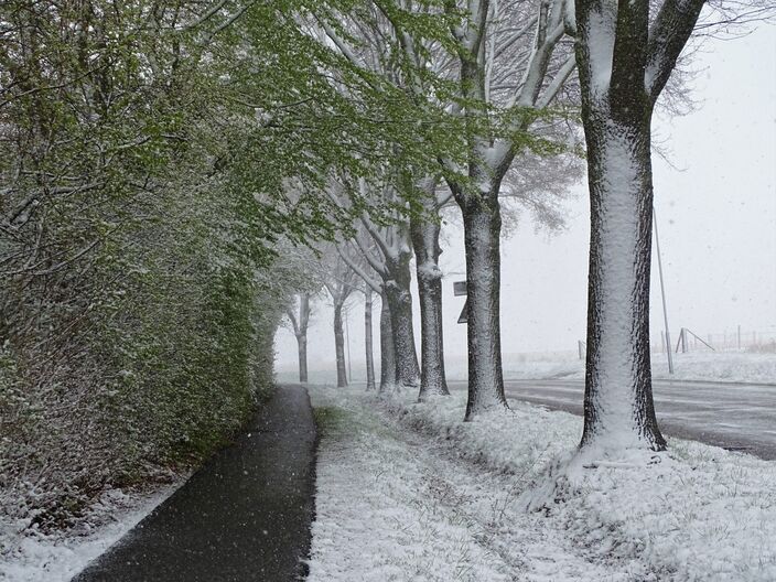 Foto gemaakt door Marjan den Boer - Hulsberg  - Door het koude winterse weer kwam de natuur deze maand zeer laat op gang.