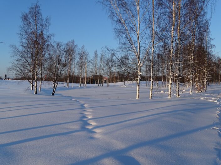 Foto gemaakt door Daan van den Broek - Helsinki - Een bevroren en besneeuwd meer tijdens een van de mooiste winterdagen ooit. 