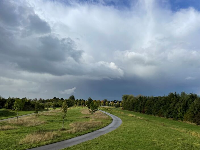Foto gemaakt door Erica van Leeuwen - Kloetinge - Voor de natuur komt de regen als geroepen. Amper een maand geleden was het nog extreem droog in Zeeland.