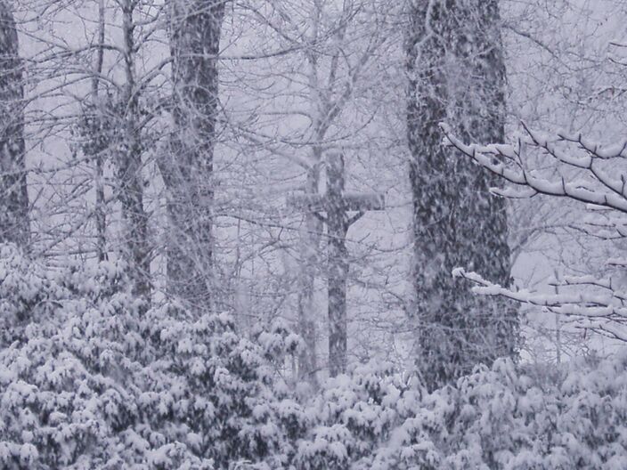 Foto gemaakt door Wikipedia - De sneeuw van 25 november 2005.