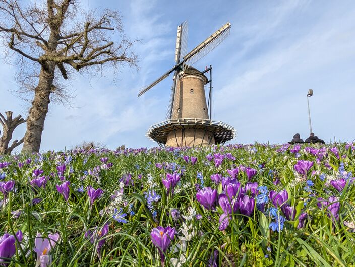Foto gemaakt door Robin Schaafstra - Alkmaar - Volgende week krijgen we te maken met zonnig lenteweer