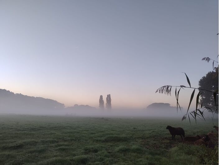 Foto gemaakt door Ellen van Balderen - De Bilt