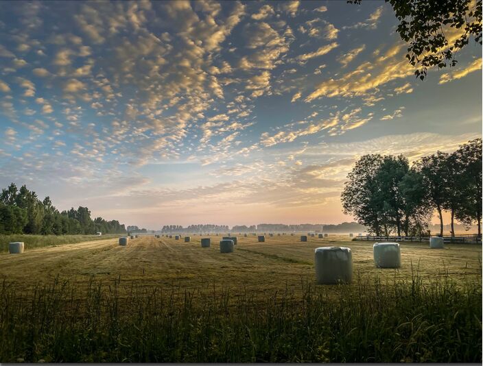 Foto gemaakt door John Oomen - Leerdam