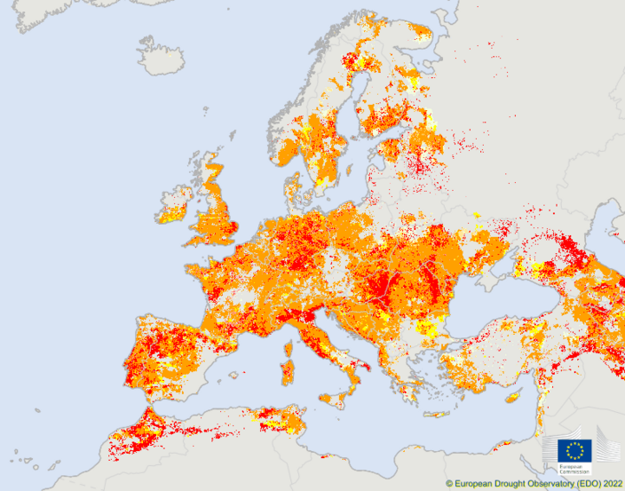 Foto gemaakt door Copernicus - Niet alleen bij ons, maar in grote delen van Europa grijpt de droogte om zich heen. Op meer plaatsen wordt de situatie nijpend en worden maatregelen genomen.