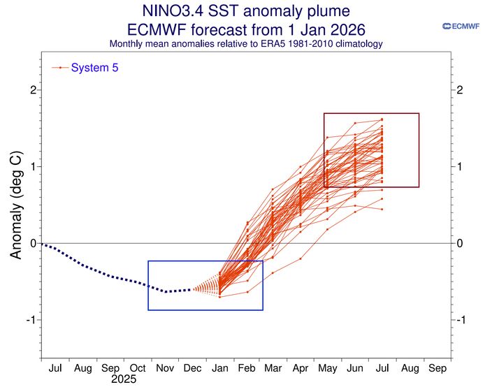 De pluim van het model ECMWF laat een snelle beëindiging van La Niña zien, met de vlugge overgang naar El Niño