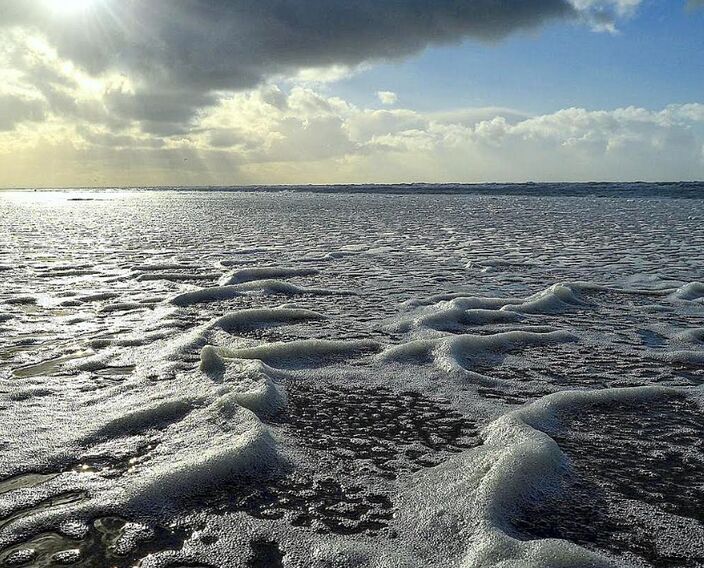 Foto gemaakt door Jetty Roedema - Egmond aan Zee