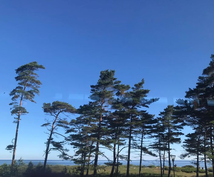 Foto gemaakt door Lena Lundberg - Båstad (Skåne, Zweden) - De afgelopen week was het zeer heet in o.a. Zweden.