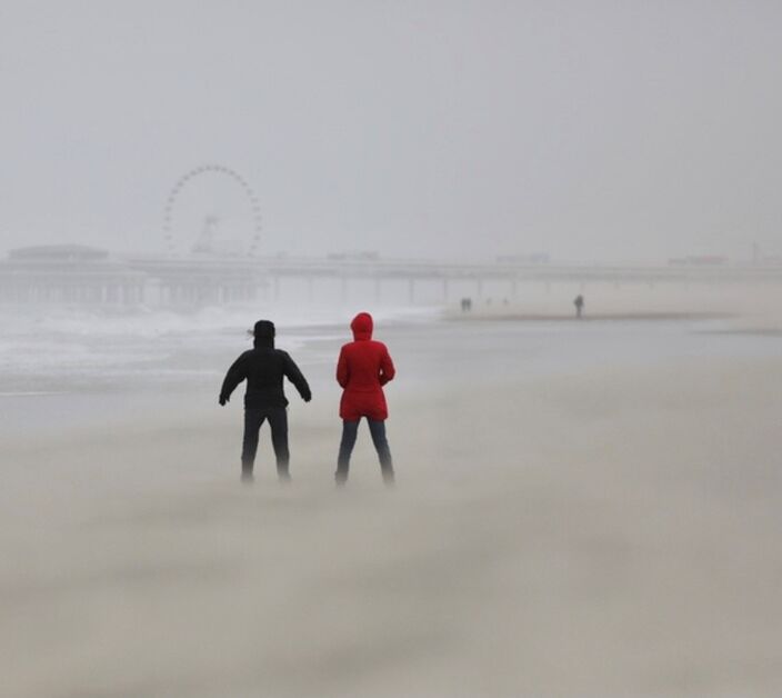 Foto gemaakt door Bert Houdijk - Scheveningen, maart 2021