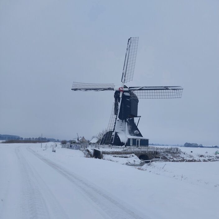 Foto gemaakt door Lia Sengers - Hellouw - De sneeuw zorgt voor een prachtig Nederlands wintertafereel 