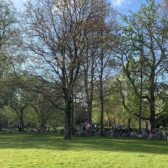 Foto gemaakt door Jeroen Gregoire - Utrecht