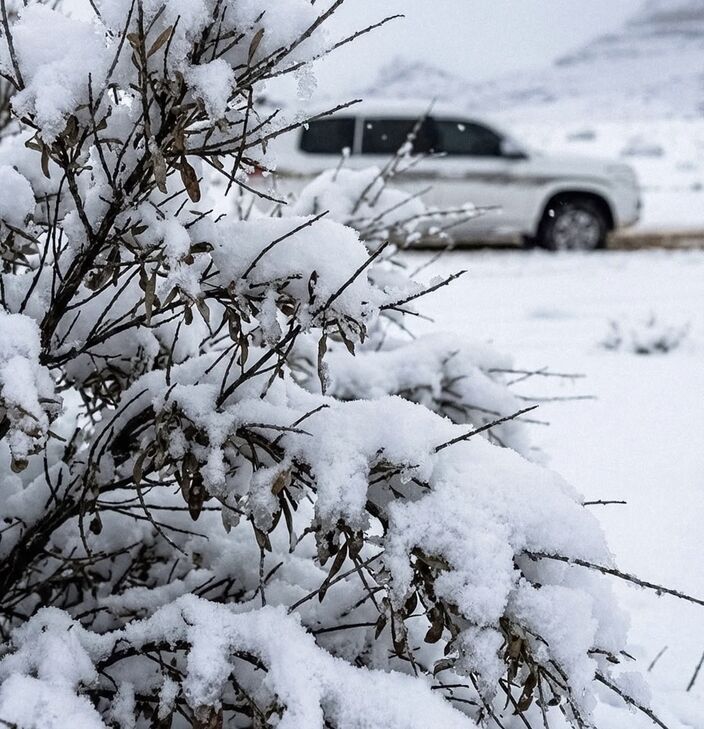 Saudi-Arabië - De woestijn bedekt met sneeuw na een zeer zeldzame winterstorm