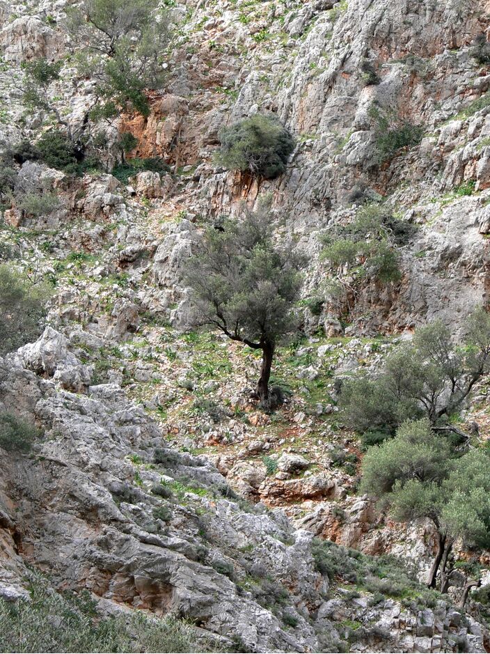 Foto gemaakt door Wolfgang Sauber - Katholikon, Kreta - Een dal op Kreta dat zich met water kan vullen.
