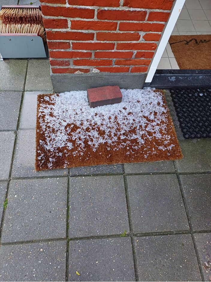 Foto gemaakt door Ida Wierenga - Eemshaven - We beleven we op dit moment een beetje een retrozomer. Een retrozomer die, met augustus op het punt van beginnen, nog wat langer lijkt aan te houden.