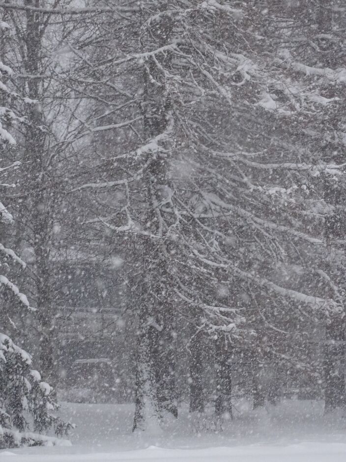 Foto gemaakt door Daan van den Broek - Helsinki - Ter Illustratie, een foto van een sneeuwstorm in Helsinki vorig jaar.